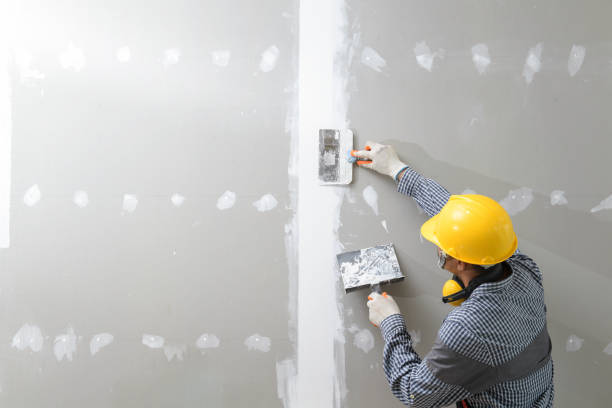 Mold Remediation for Rental Properties in Taylor Lake Village, TX