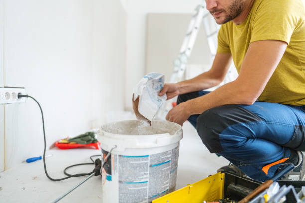 Best Basement Mold Removal  in Taylor Lake Village, TX
