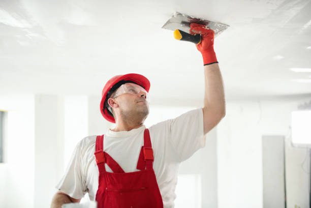 Best Black Mold Removal  in Taylor Lake Village, TX