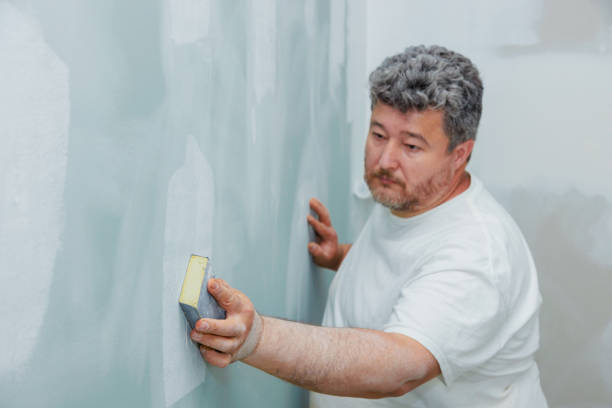 Mold Documentation for Insurance Claims in Taylor Lake Village, TX